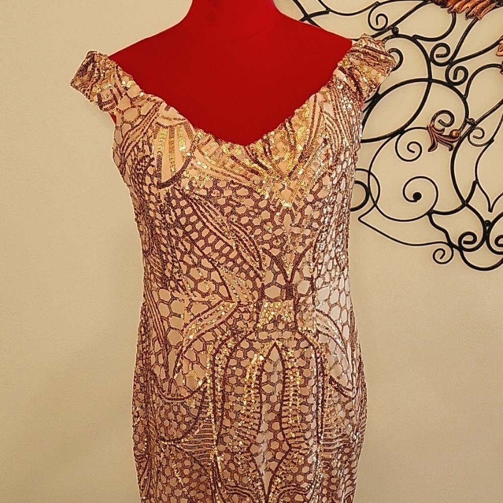 Formal Sequence Dress